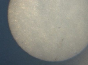 mercury_transits_the_sun_05092016_BLOG