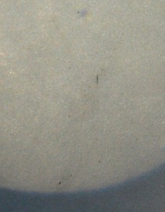 mercury_transits_the_sun_05092016_portrait_MAX