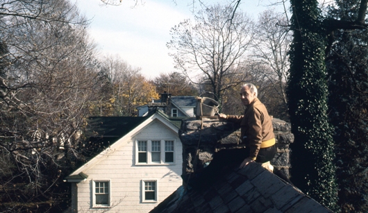 3741_old_man_on_roof_2_BLOG